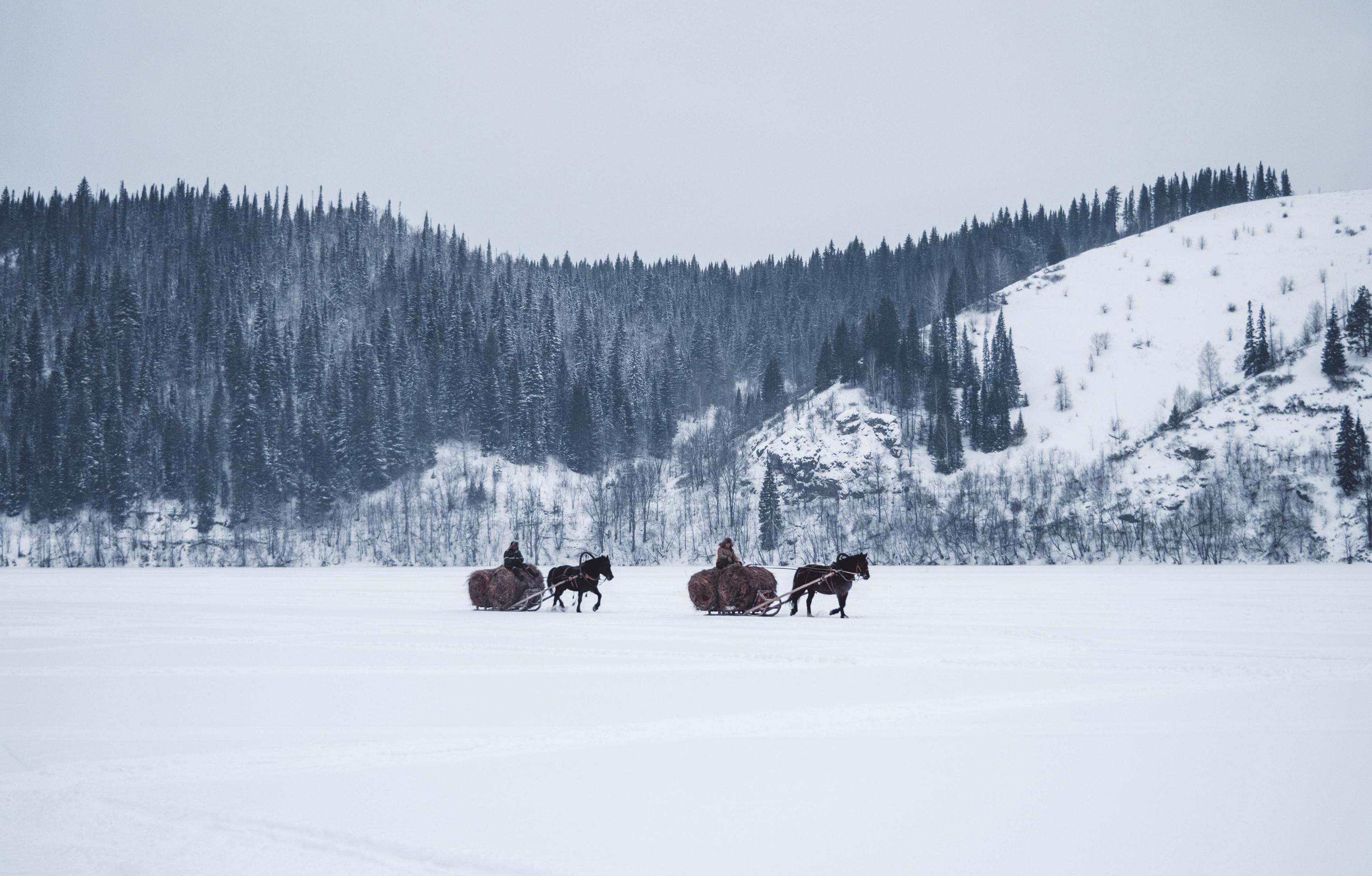 Advantages of housing horses in winter