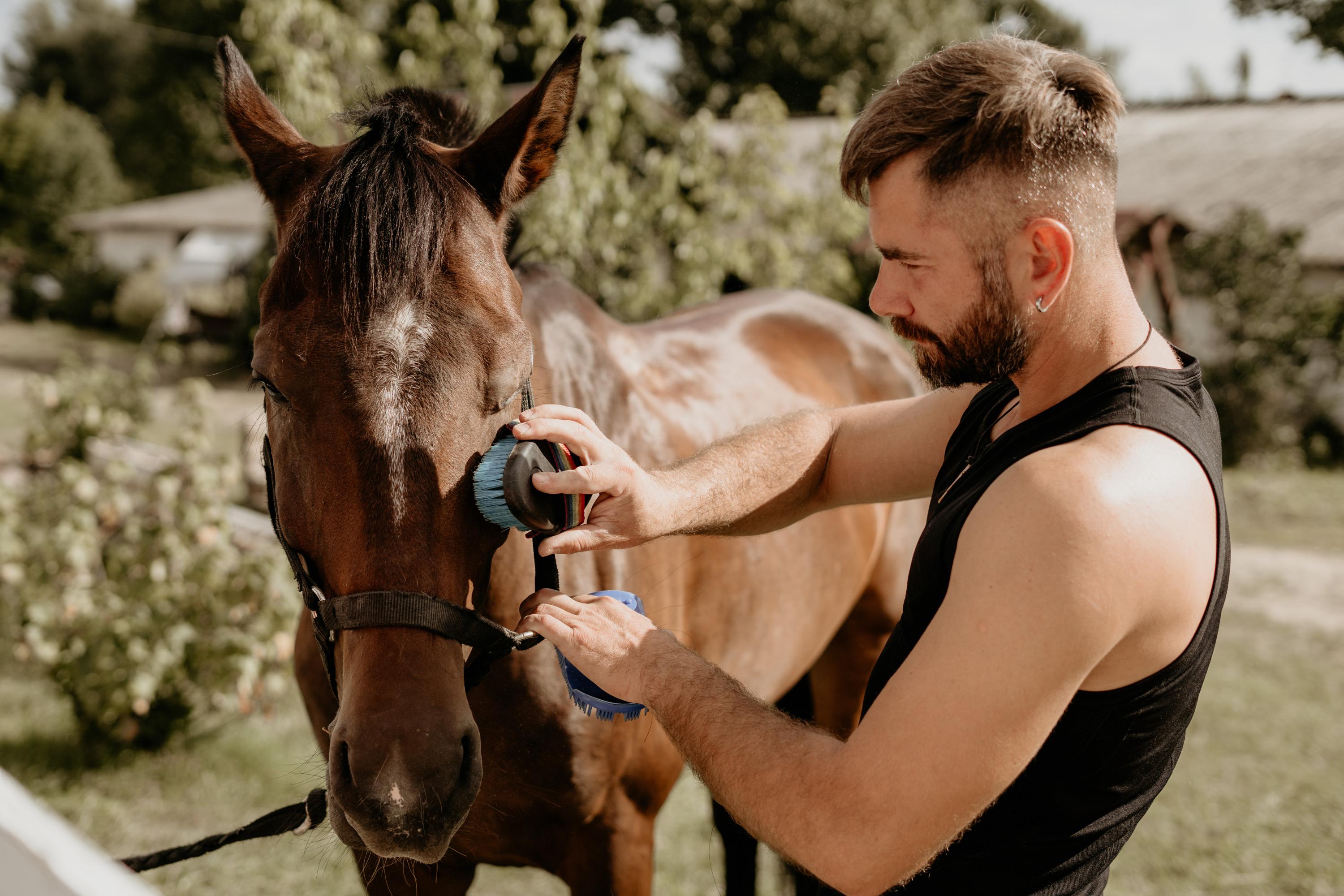 Benefits of cleaning horse sheath