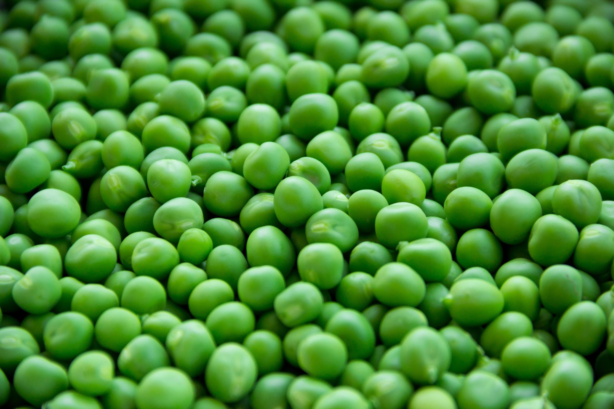 Nutritional benefits of peas for rabbits