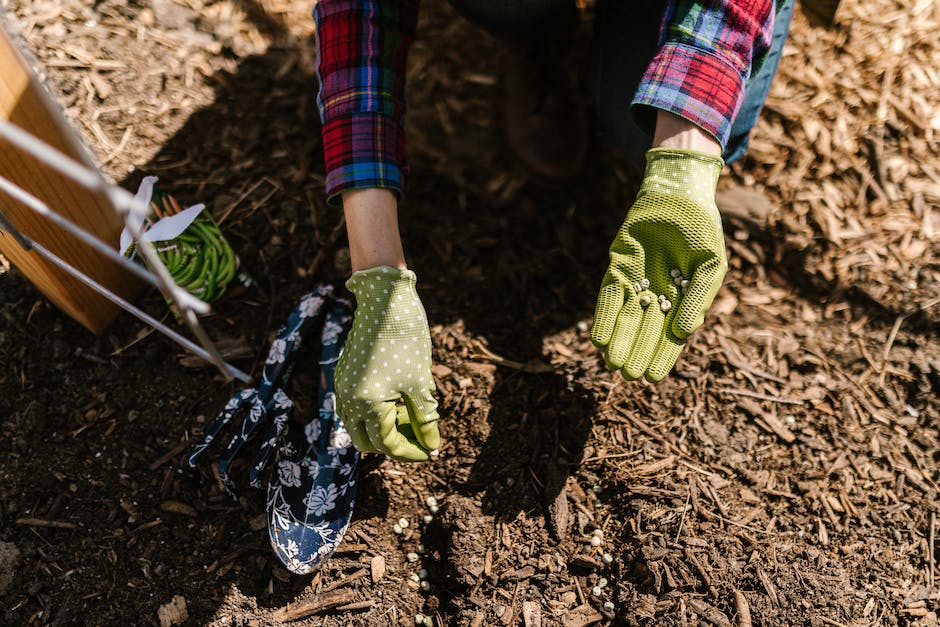 Why Does Mulch Smell Like Manure? AnswerChef