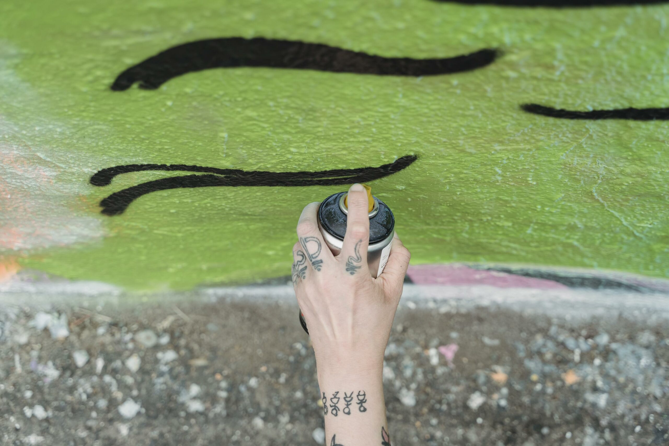 Can Raccoons See Green Light? - AnswerChef